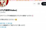 【悲報】任天堂にブチギレられたVTuber、『アカウント停止』で完全に終わるｗｗｗｗ