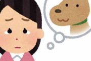 ペットロスを乗り越えた方