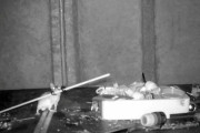 【イギリス】毎晩誰かが自分の作業場を片付けてる→ネズミが片づけてると判明　カメラ映像で確認