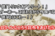 子供「トリックオアトリート！」私「…あー。こぼれるから今食べな」子供「なにこれー！」ハロウィンに見知らぬ親子が訪ねてきたのでとろろ昆布をあげたら…