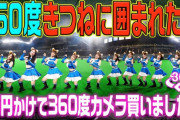 【朗報】日ハム、きつねダンスの「360度ver」をアップロード
