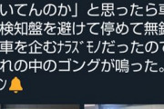 【悲報】違法駐車にぶちギレ陰さん、スカッとジャパンしてしまう