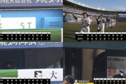 今のプロ野球の極度な打低についてどう思う？