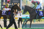 日本の競馬史上で最強の兄弟て結局どいつらなの？