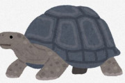 【いきもの】推定190歳！リクガメ「ジョナサン」が世界最高齢の陸上生物に！ギネスが認定　