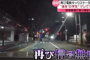 電動キックスケーター乗りの大学生、信号無視で警察に取締られた直後にまた信号無視で捕まる