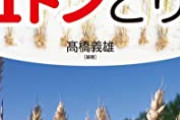 【緊急】小麦の値段、過去5年で最高値を付ける。超インフレの兆し