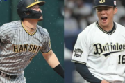 【データで選出9・10月月間MVP】サトテル　１２球団でTOPｷﾀ━━(ﾟ∀ﾟ)━━!!「佐藤輝明は確実性と長打力を両立」