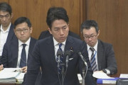 【速報】野党、小泉進次郎にブチギレ「農産物はバナナのたたき売りちゃうぞ！」