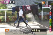 【悲報】オークス馬ユーバーレーベン、ひっそりと11着