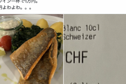 【正論】ビットフライヤー創業者「スイスで魚とワイン一杯頼んだら1万円。日本円よわよわw」