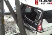 【悲報】レンタカー運転中に大事故を起こした外国人観光客「標識の意味が分からなかった」