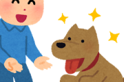 ワイドカタ、犬と庭なうｗｗｗ