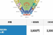 【悲報】神宮球場の阪神戦、レフト外野の料金が限界突破