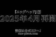 【速報】アニメワンピース、休止。エッグヘッド編は2025年4月から始まる模様