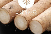 【速報】山田孝之・ワンオクTAKA・ヒカルなどガーシーに関連した人物が謎の政党『ごぼうの党』支持を表明