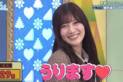 【日向坂46】河田陽菜、1円でも売っていた説ｗｗｗｗｗｗｗ
