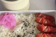 きょうの貧乏ワイの悲しみ弁当（※画像あり）