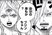 【ONEPIECE -ワンピース】麦わらの一味のサンジさん、婚約者に裏切られて脳を破壊されていたｗｗｗ