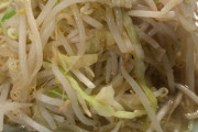 わい「日本人のラーメン好きは異常」← ラーメン好きは反論できるか？