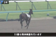 【朗報】ホッコータルマエ産駒(インパルスベルン)中央初勝利ｗｗｗｗｗｗｗ