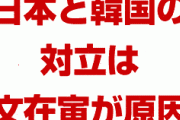 米国「日本と韓国の対立は文在寅が原因で始まった」　韓国終わったな…