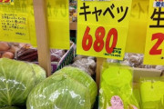 【高騰】キャベツ一玉500円超え、600円後半も（※画像あり）