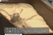 【画像】ガチのマジで本物の宇宙人、メキシコで見つかる