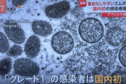 【緊急】『新型サル痘』日本上陸
