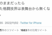 【画像】　一流キックボクサーの武尊さん、ブレイキングダウンにブチギレｗｗｗｗ