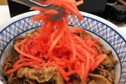 日本人特有の「牛丼に、タダの紅しょうがメガ盛りにしたれ」精神ｗｗｗ