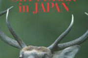 【画像】 シカさんの身体能力がヤバすぎる「シカ避けフェンス？ふむ間をすり抜ければいいだけでは？」