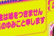 【画像】関友美子「お金は嘘をつきません会長の関有美子と申します」