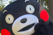 【悲報】くまモン当面の活動中止！関係者が新型コロナ感染者と接触か