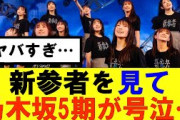【日向坂46】新参者を見て乃木坂5期が号泣…#日向坂46#hinatazaka46 #日向坂で会いましょう #齊藤京子#ひなくり#小坂菜緒 #金村美玖 #おひさま #潮紗理菜#正源司陽子