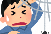 【驚愕】「クモは益虫だから殺すな」←この教えに従った結果ｗｗｗｗｗ