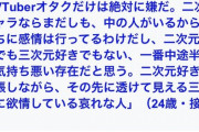 【悲報】女さん「バチャ豚だけは絶対に嫌だ。2次元好きと主張しながら透けて見える3次元に欲情してる哀れな人」