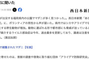 福岡の市街地、マダニが前例のない大量発生　シカに付着して拡散か