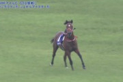 【競馬】バスラットレオン、ダービー参戦　グレートマジシャンは戸崎騎手とコンビ