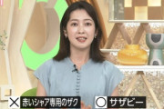 【放送事故】NHK「先ほどのニュースで訂正があります。」