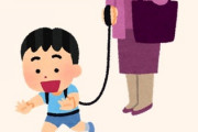 テレビ「子供用ハーネスはただの虐待」「あなたは人間をペットにしてるんですか？」