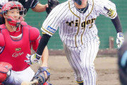 阪神近本、恐怖の２番「２年目ジンクス感じさせない」全４戦　打率．４５５