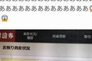 【画像】 証券会社に騙されて「株式投資」した人の末路をご覧くださいｗｗｗｗ