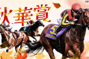 第28回 秋華賞 (GⅠ)