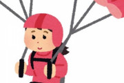 彡(ﾟ)(ﾟ)「ヨッメ邪魔やなあ…スカイダイビングのパラシュート細工したろ」