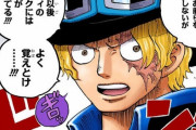 【悲報】ワンピース作者「んー。これだとサボが睨んでるって読者に伝わらないよな…」