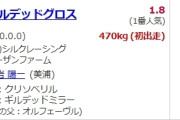 【日曜東京4R新馬戦】ギルデットミラーの子供おるやん