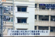犬が飼い主に向けて猟銃を撃った。立てこもり犯は犬…。日本語が不自由な局員ばかりなんだろうね
