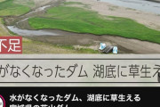 【画像】ダム「湖底に草生えるｗｗｗｗｗｗｗｗｗｗｗｗｗｗｗｗｗ」