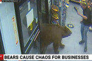 ドキっ！白昼堂々と街中に熊が現れた！？その場に居合わせた人々の行動とは？